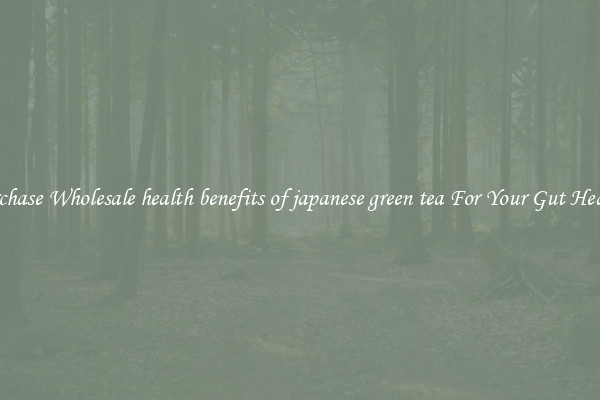 Purchase Wholesale health benefits of japanese green tea For Your Gut Health 