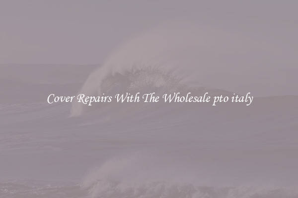 Cover Repairs With The Wholesale pto italy 
