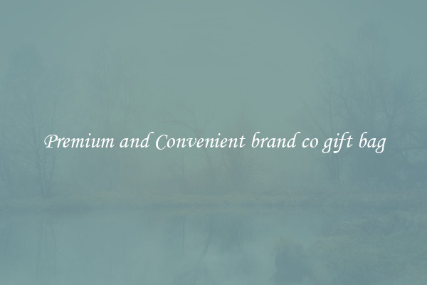 Premium and Convenient brand co gift bag