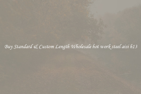 Buy Standard & Custom Length Wholesale hot work steel aisi h13