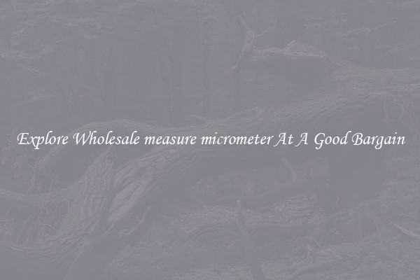Explore Wholesale measure micrometer At A Good Bargain