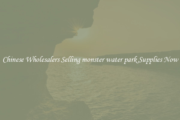 Chinese Wholesalers Selling monster water park Supplies Now