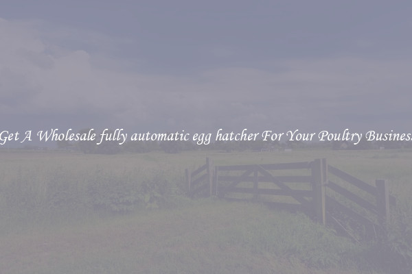 Get A Wholesale fully automatic egg hatcher For Your Poultry Business