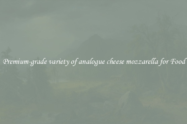 Premium-grade variety of analogue cheese mozzarella for Food