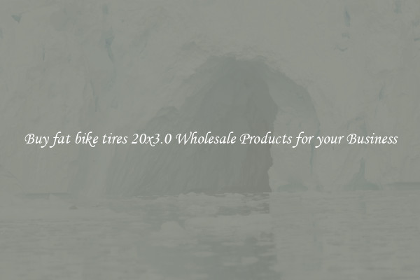 Buy fat bike tires 20x3.0 Wholesale Products for your Business