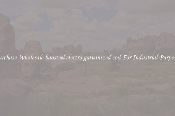 Purchase Wholesale baosteel electro galvanized coil For Industrial Purposes