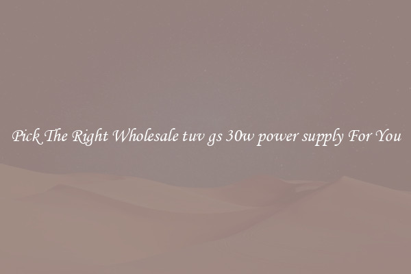 Pick The Right Wholesale tuv gs 30w power supply For You