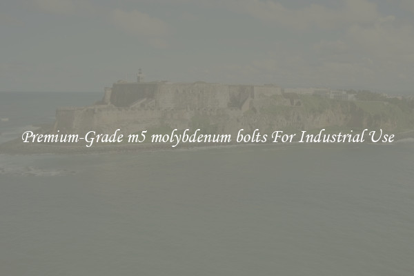 Premium-Grade m5 molybdenum bolts For Industrial Use