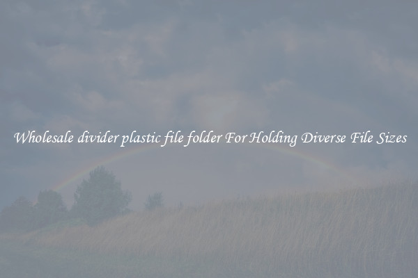 Wholesale divider plastic file folder For Holding Diverse File Sizes