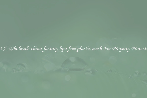 Get A Wholesale china factory bpa free plastic mesh For Property Protection