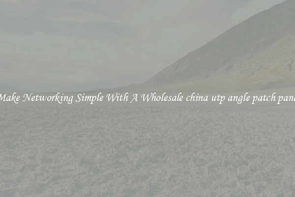 Make Networking Simple With A Wholesale china utp angle patch panel